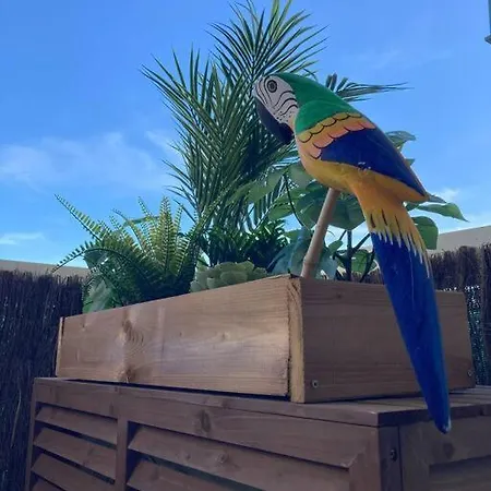 Tropical Duplex : Bord De + Piscine