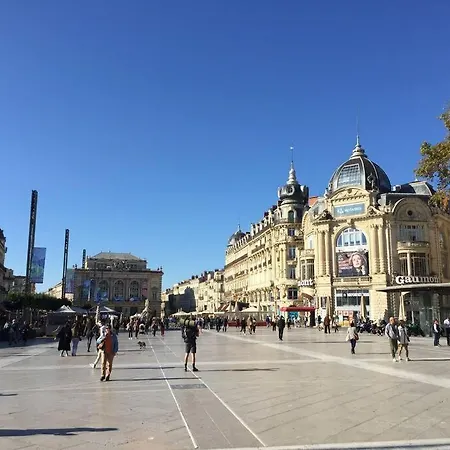 Apartment Tropical Duplex : Bord De + Piscine *