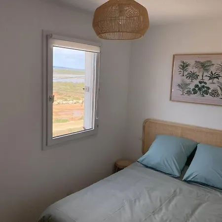 Tropical Duplex : Bord De + Piscine Appartement Frontignan