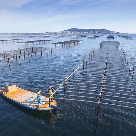 Tropical Duplex : Bord De + Piscine Apartment Frontignan