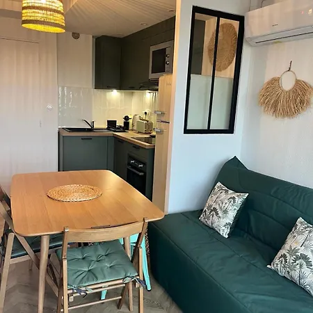 Apartmán Tropical Duplex : Bord De + Piscine Frontignan