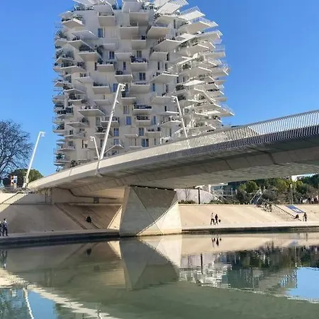 Tropical Duplex : Bord De + Piscine *