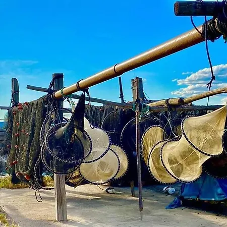 Διαμέρισμα Tropical Duplex : Bord De + Piscine