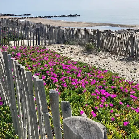 Διαμέρισμα Tropical Duplex : Bord De + Piscine *