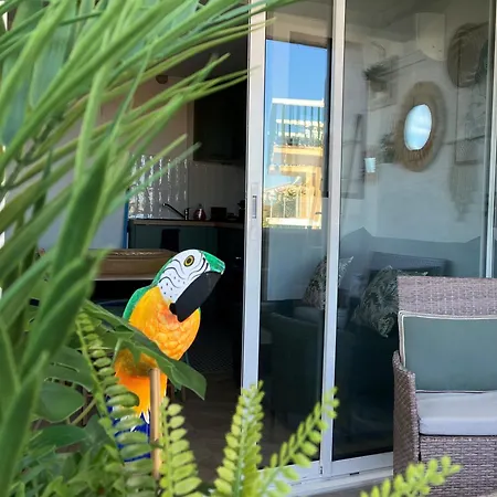 Tropical Duplex : Bord De + Piscine * Frontignan