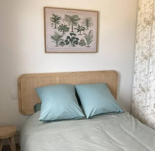 Tropical Duplex : Bord De + Piscine * フロンティニャン