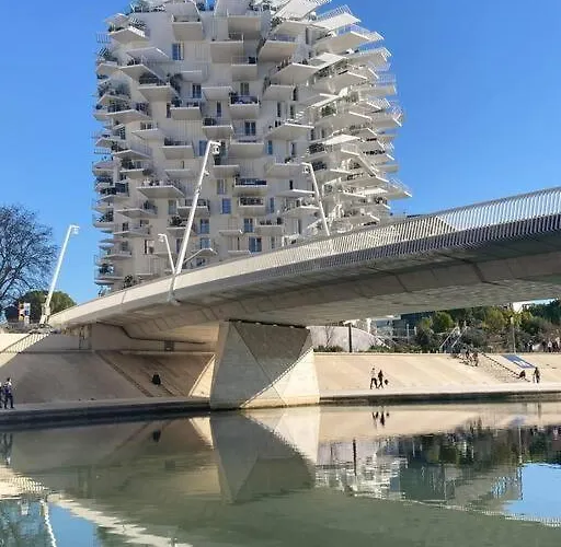 Tropical Duplex : Bord De + Piscine *