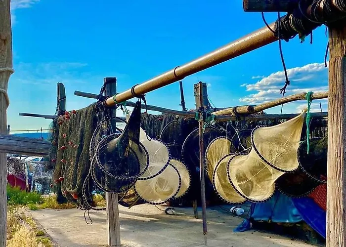 アパート Tropical Duplex : Bord De + Piscine