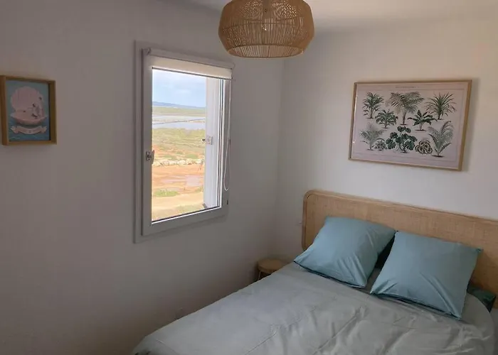 Tropical Duplex : Bord De + Piscine アパート フロンティニャン