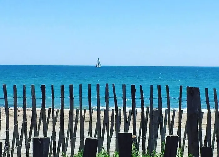 アパート Tropical Duplex : Bord De + Piscine *