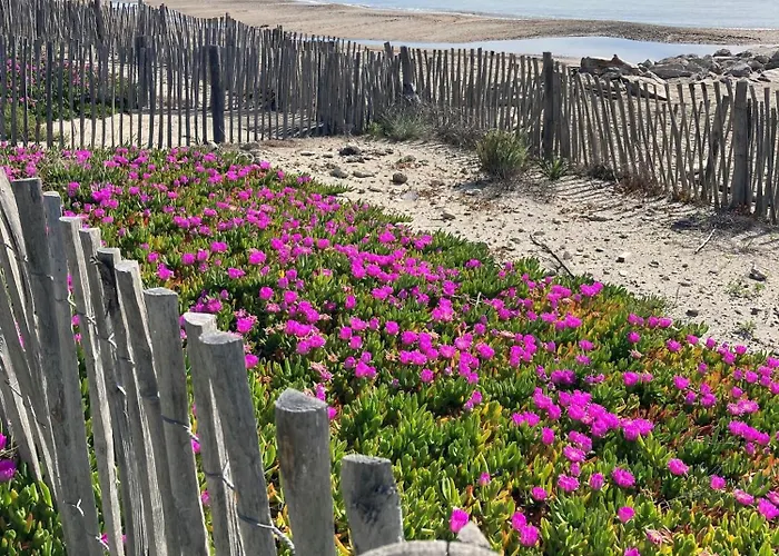 アパート Tropical Duplex : Bord De + Piscine *